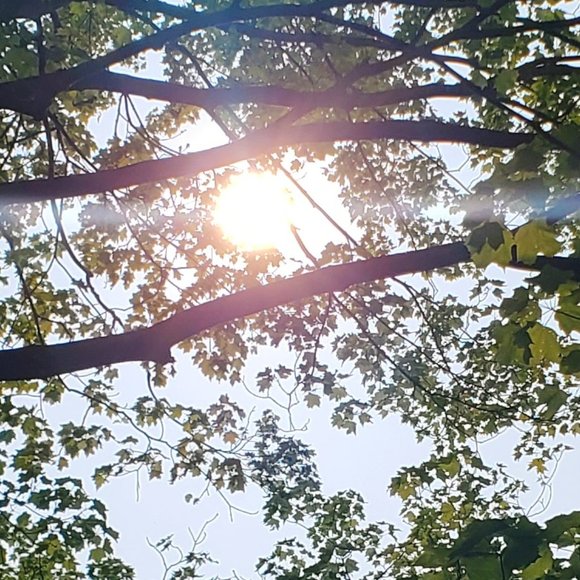 Meet your Posher, Asia - Picture 1 of 1